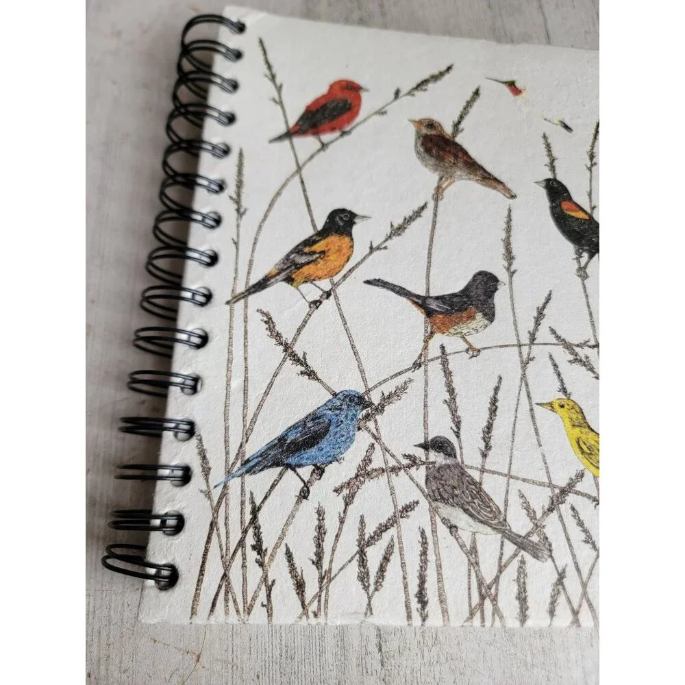 Variety bird blue jay sketch book‎ hummingbird cardinal unique